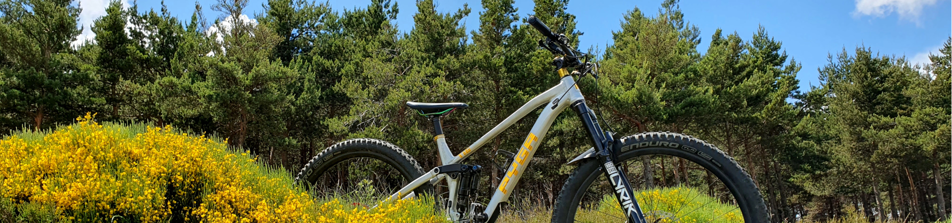 Pyga Pivot Mountainbikes